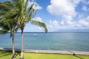 Image of Kahana Reef 208