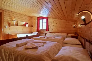 Image of Magnifique chalet pour 10 personnes à Vercorin