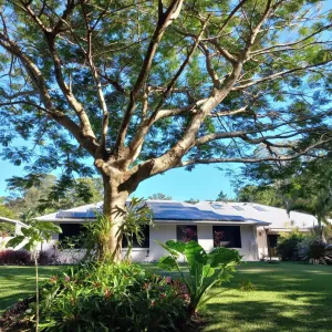 Image of Noosa Buoys