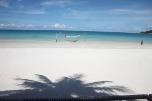 Image of Tommy Resort