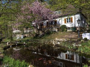 Image of Charming Apartment in Wei enbrunn near Forest