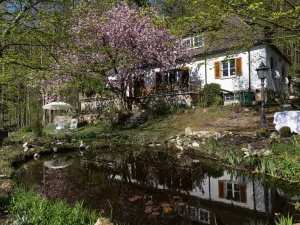 Image of Holiday Flat in Upper Franconia With Garden