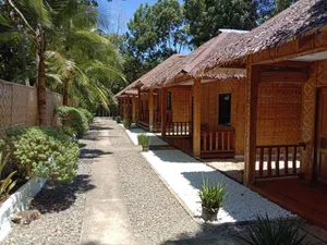 Image of Alona Pawikan