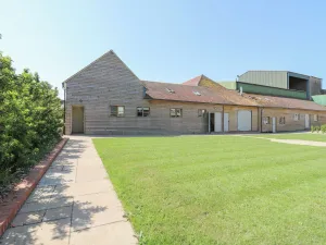 Image of BB House