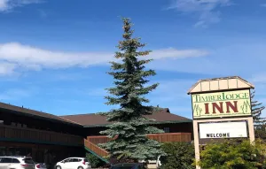 Image of Timber Lodge Inn