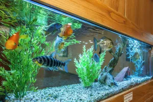 Image of Quality Inn Conference Center Logansport