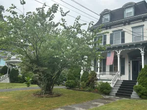 Image of 1 Br Private Victorian Apt in convenient City location on half acre sleeps 4