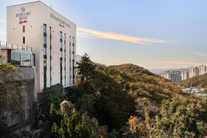 Image of Brown Dot Hotel Signature