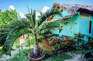 Image of The Happy Bird B&B
