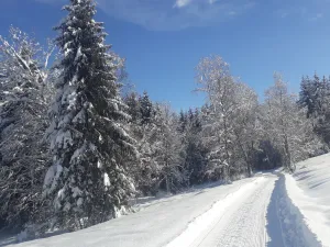 Image of Apartment for 2 Adults & 2 Children near Ski Resort in Black Forest