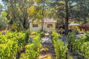 Image of Grapevine Cottage by Avantstay Hobby Vineyard + Firepit