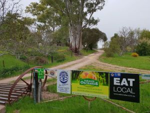 Image of Taralee Orchards