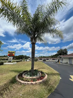 Image of Budget Inn