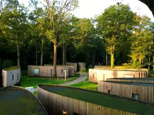 Image of Suite Near Tournai in Award-winning Forest Park