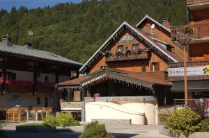 Image of Chalet Hôtel Régina
