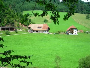 Image of Black Forest Farmhouse in Charming Location
