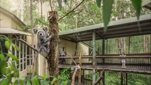 Image of Springwood Meditation Centre 春木禪修渡假中心