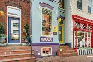 Image of Charming Alexandria Vacation Rental in Old Town!