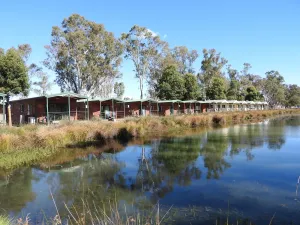 Image of Victoria Lake Holiday Park