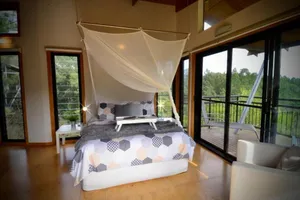 Image of EcOasis