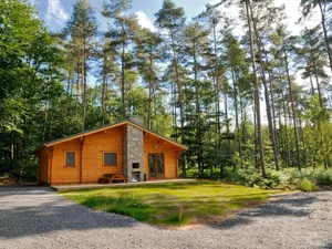 Image of Modern, Wooden Chalet With Wood Burning Stove, in the Forest