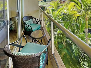 Image of Maui Banyan