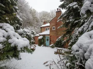 Image of Sunny Cottage