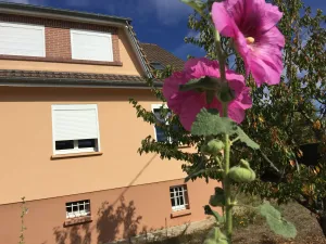 Image of Jolie halte normande