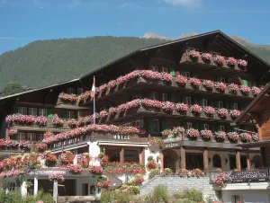 Image of Hotel Gletschergarten