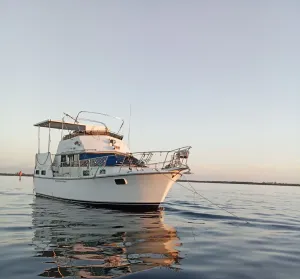 Image of Sip And Sea