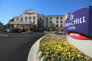 Image of SpringHill Suites by Marriott Charleston North