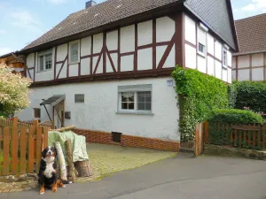 Image of Small Apartment in Hesse With Terrace and Garden