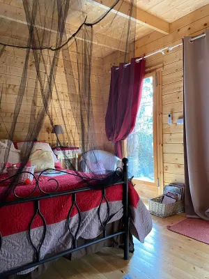 Image of La cabane des amoureux du jardin