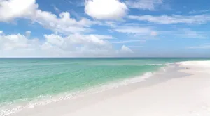 Image of Beach Within Reach