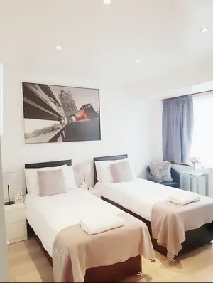 Image of The 55