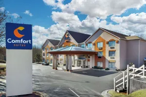 Image of Comfort Suites Northside Hospital Gwinnett