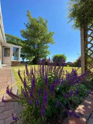 Image of 2 Bed Retreat With Amazing Sea Views in Brighton