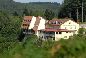 Image of Logis De La Grande Cascade