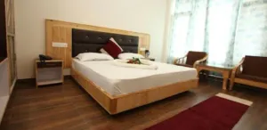Image of Hotel Saras Manali