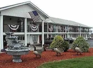 Image of Twinkle Inn
