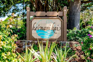 Image of Ke Nani Kai