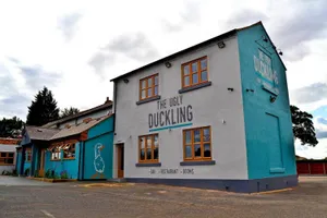 Image of The Ugly Duckling