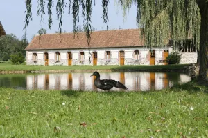 Image of Domaine de Collen