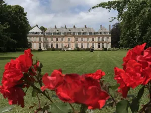 Image of Château de Sissi