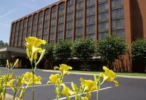 Image of Wyndham Garden Williamsburg Busch Gardens Area