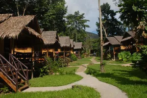 Image of Jungle Garden