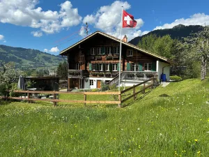Image of Alpenchalet Weidhaus Gstaad