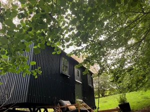 Image of Cornwall Woodland Shepherd's Hut - Dennis Hut