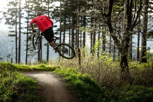 Image of Mountain View Hotel Willingen, BW Signature Collection