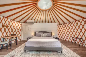 Image of OT 3515H Texas Yurt Haus Horned Frog
